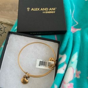 Alex and Ani Apple Charm Bracelet